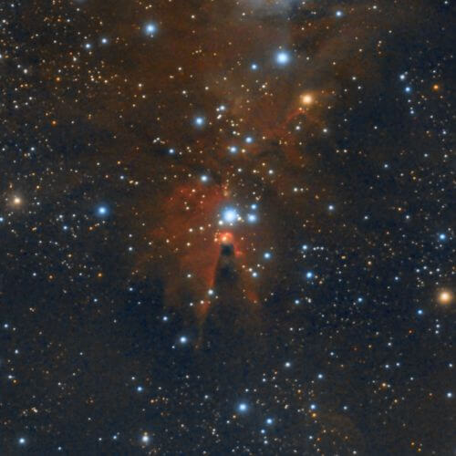 NGC2264-Nebulosa del Cono